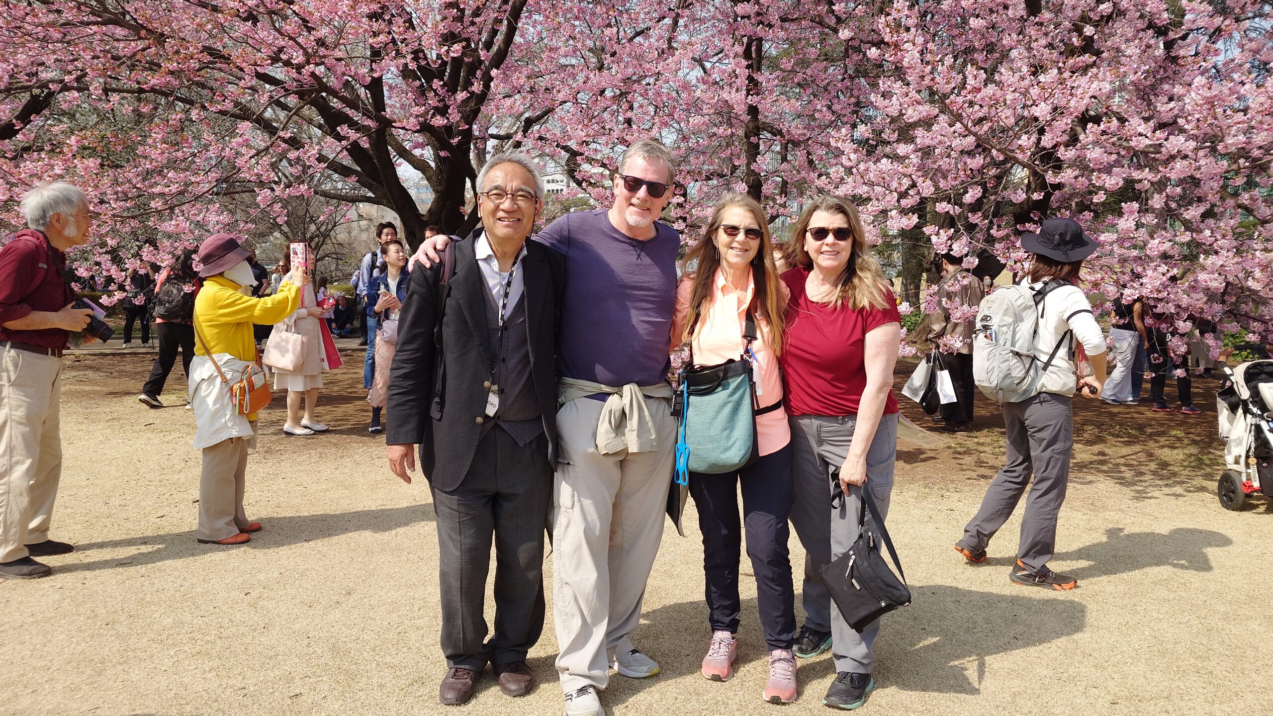 A peaceful early spring stroll around Tokyo and an evening cruise on Yokohama Port