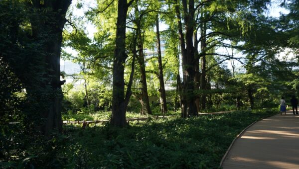 23. Explore nature in Shinjuku Gyoen -Full cost - Image 3