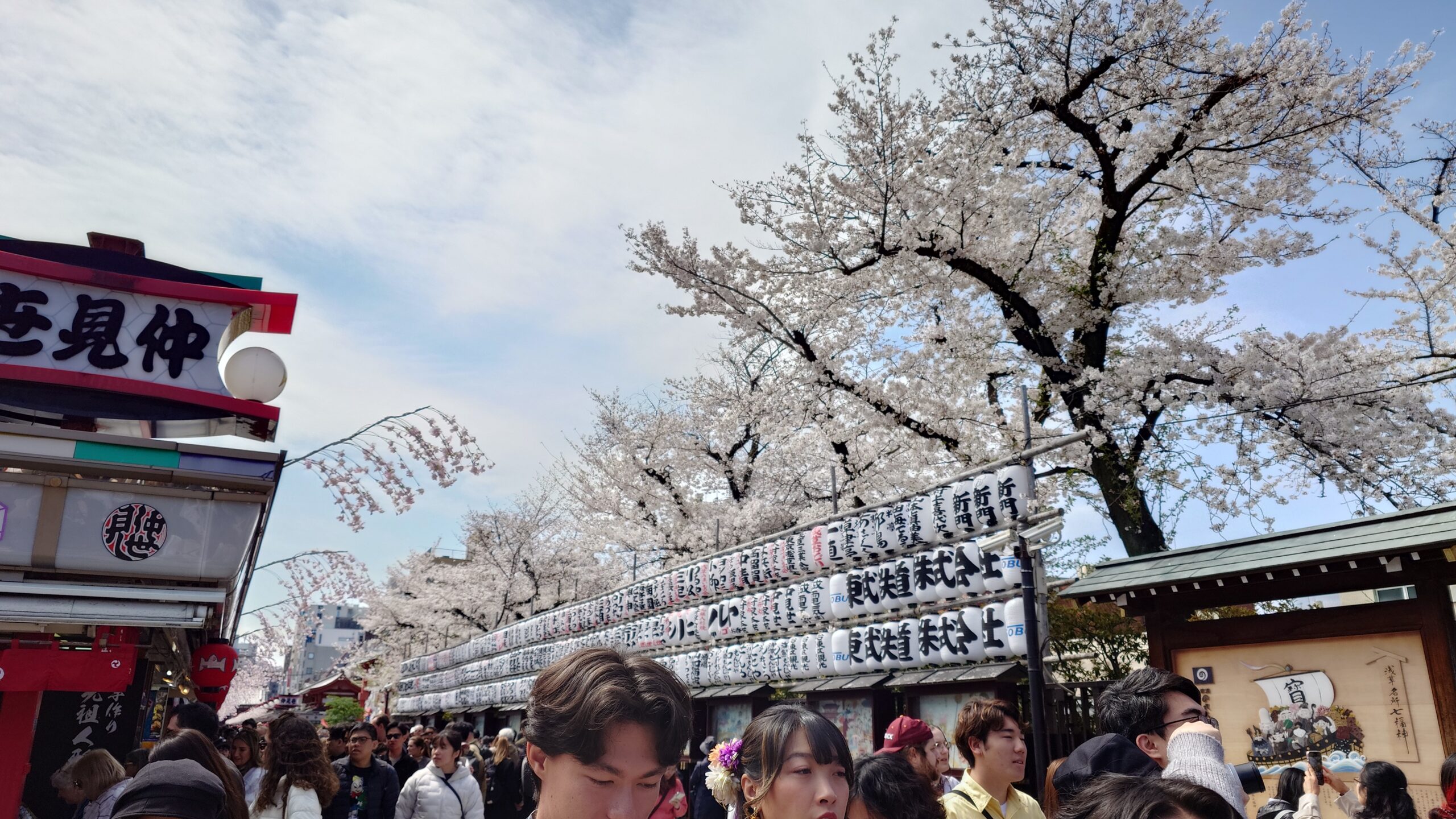 I guided and sent cruise ship passengers from Yokohama Port via Tokyo’s popular spots