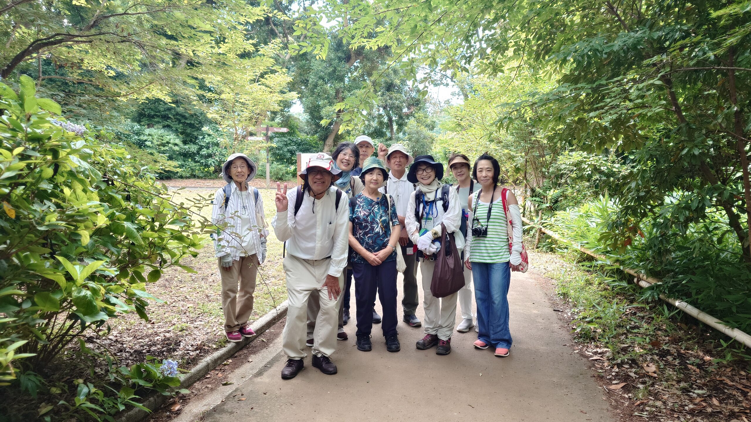 I held a rhinoceros beetle observation event in the secondary forest in Shinjuku Gyoen, right in the heart of the city.
