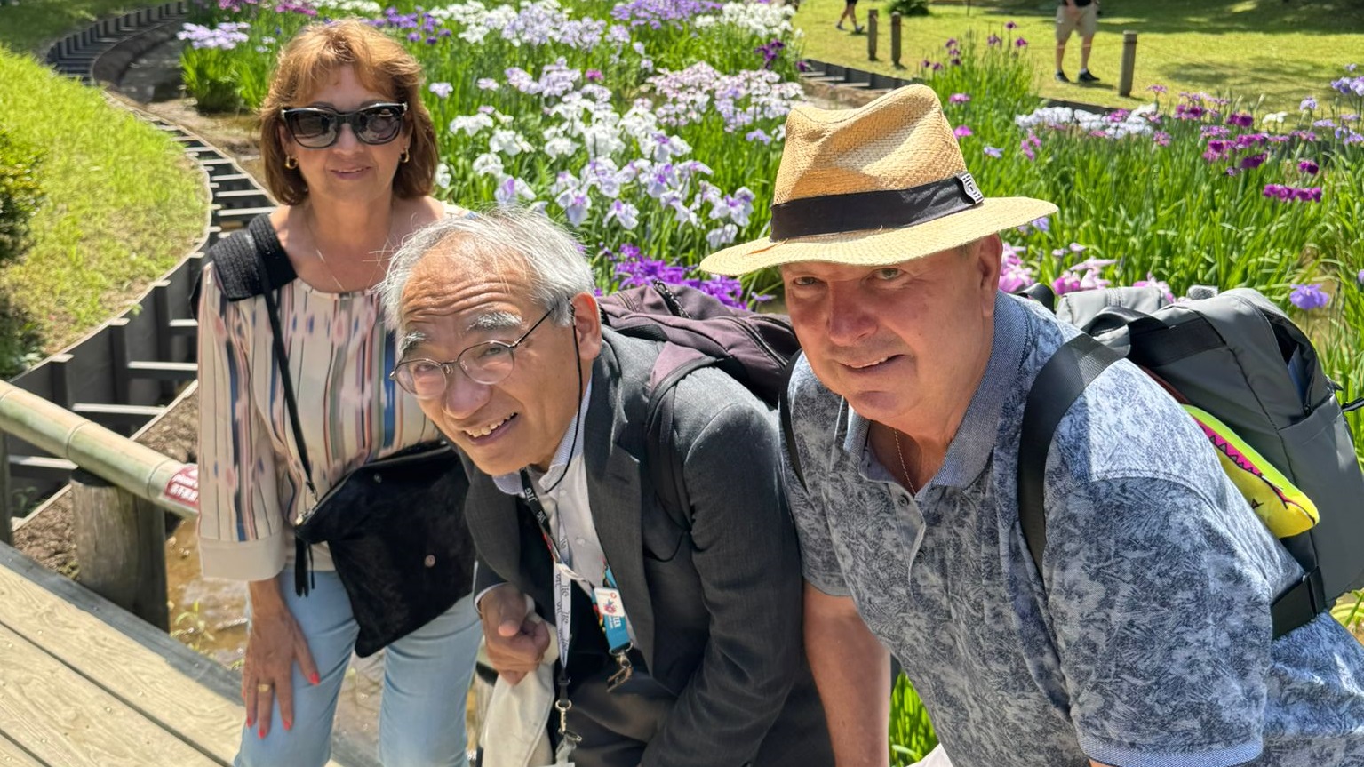 Enjoy Japanse iris in Meiji shrine inner garden