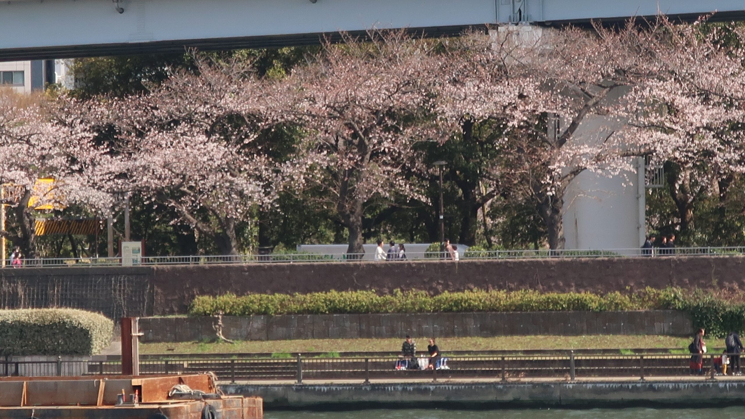 We enjoyed the Imperial Palace, Asakusa, and a Sumida River cruise.
