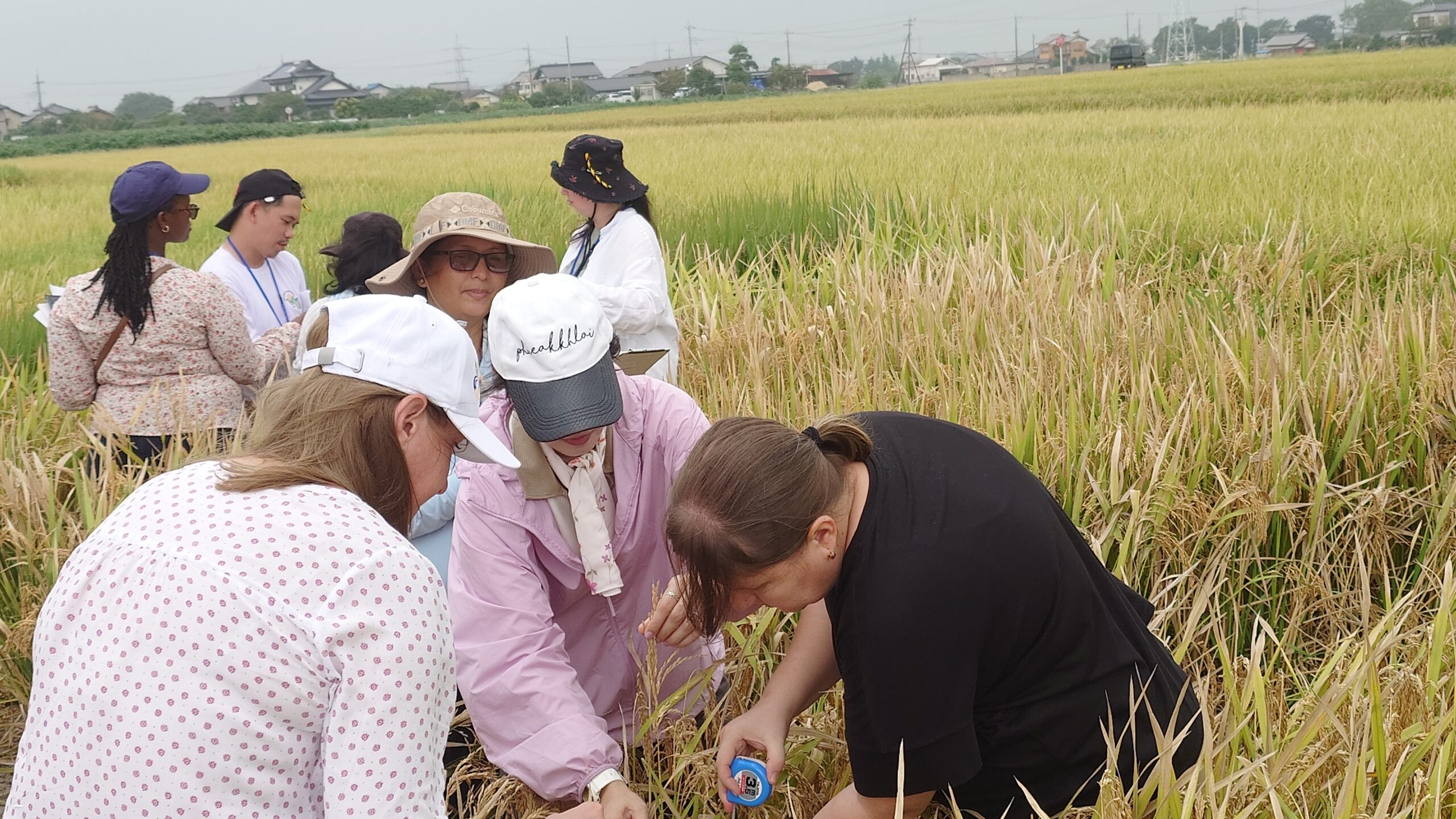 Practical rice field training